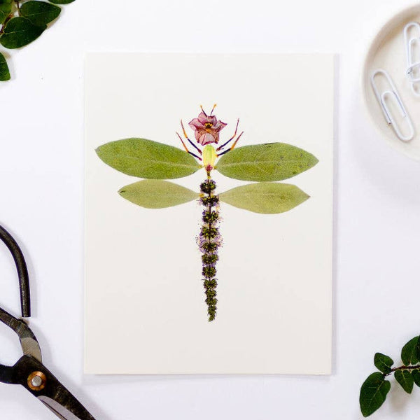 Dragonfly