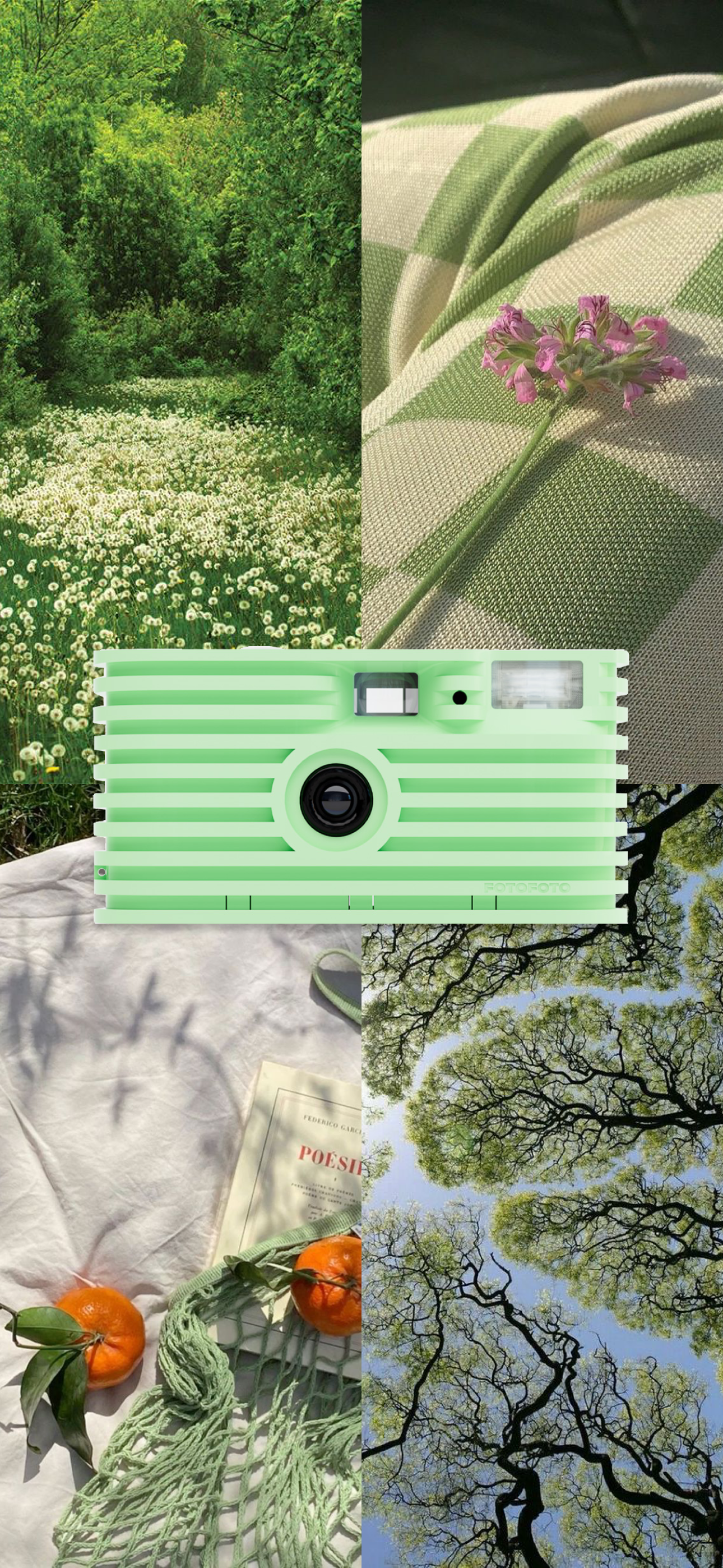 Fotofoto FF-1 "Meadow" | Sustainable Disposable Camera