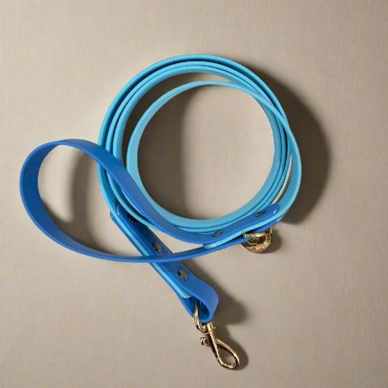Dog Leashes (Biothane)