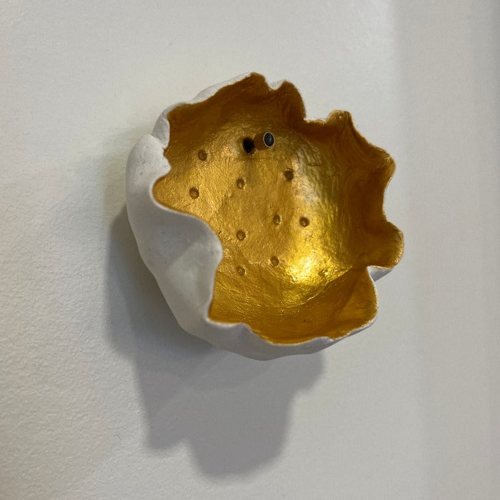 Air Plant Holders (Ceramic)