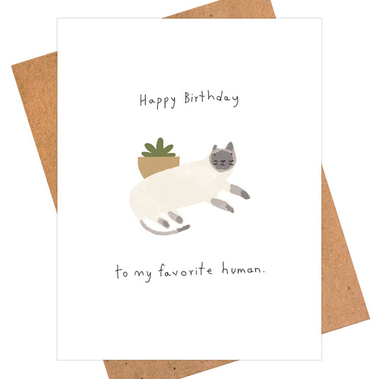 Happy Birthday - Cat Birthday