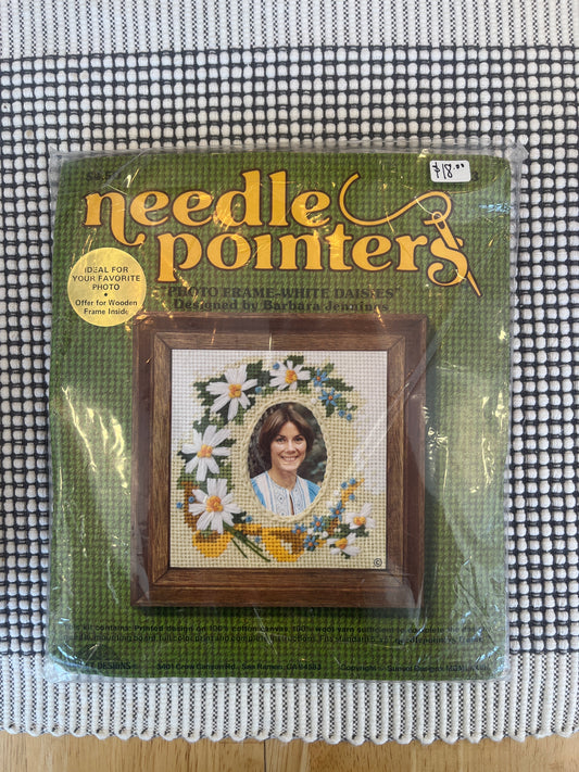 Needle Pointers (Vintage craft kit)