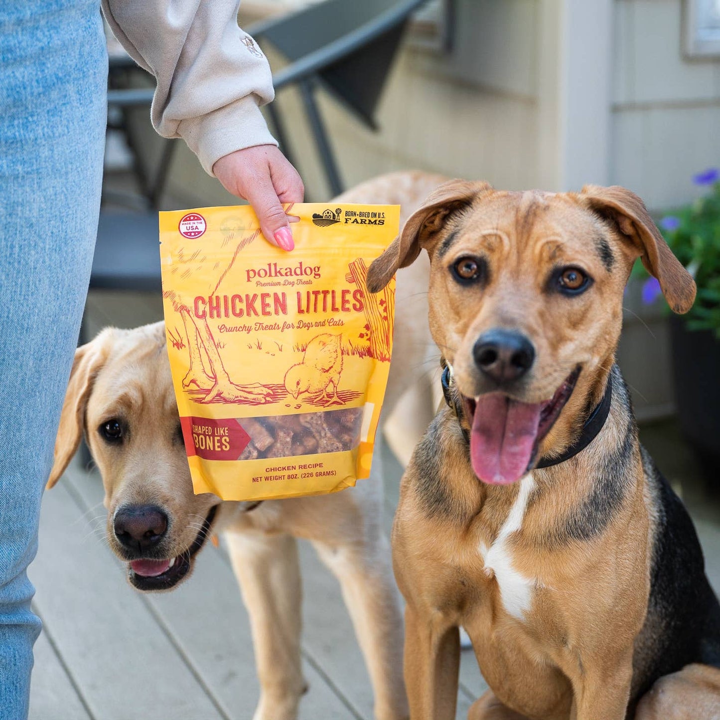 Chicken Littles (Bone Shaped) - 7oz - Dog Treats