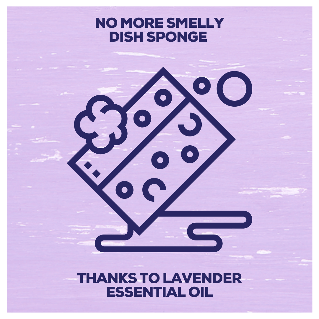 Dish Soap | Grapefruit