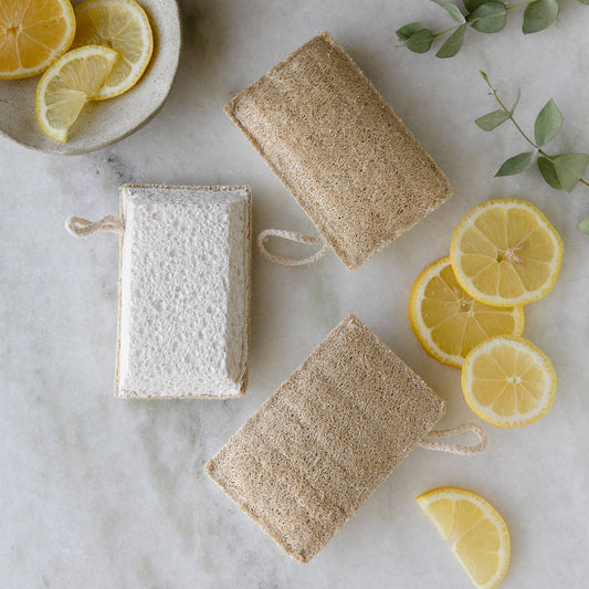 Biodegradable Loofah & Cellulose Cleaning Sponge