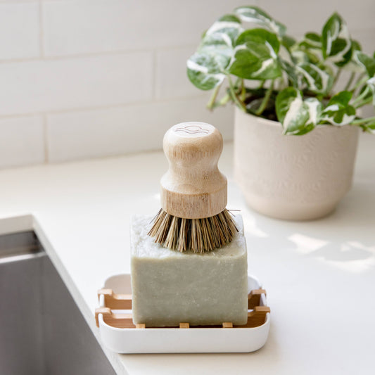 Biodegradable Soap Dish Tray