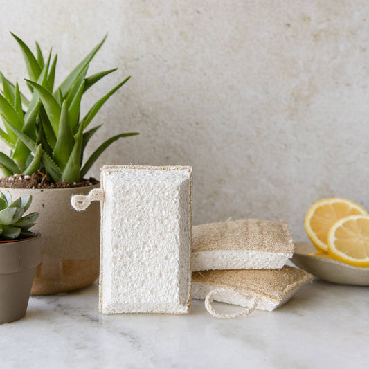 Biodegradable Loofah & Cellulose Cleaning Sponge