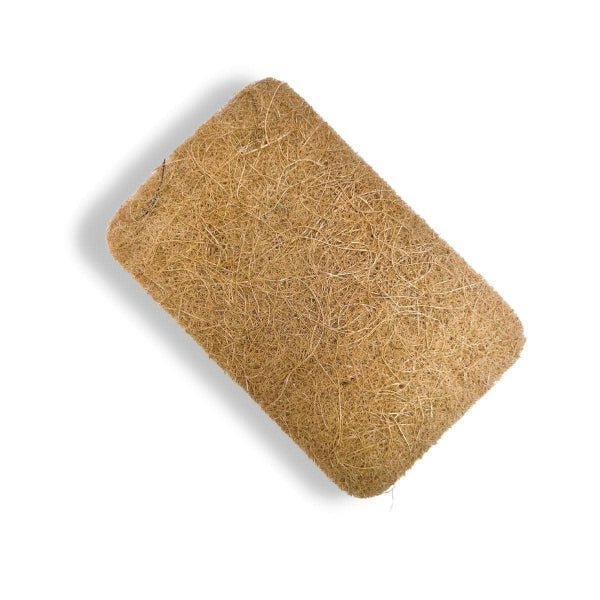 Plant-Based Kitchen Sponge (Biodegradable)