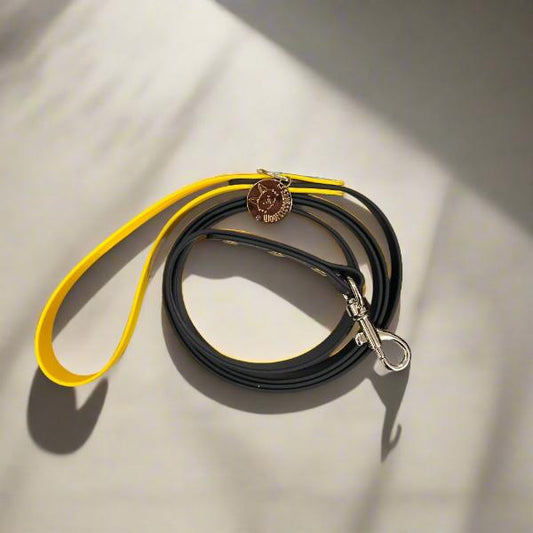 Dog Leashes (Biothane)