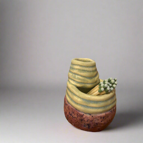 Colorful Coil Pots