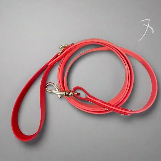 Dog Leashes (Biothane)
