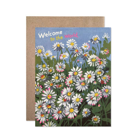 Welcome Daisies by Helen Dealtry | Baby