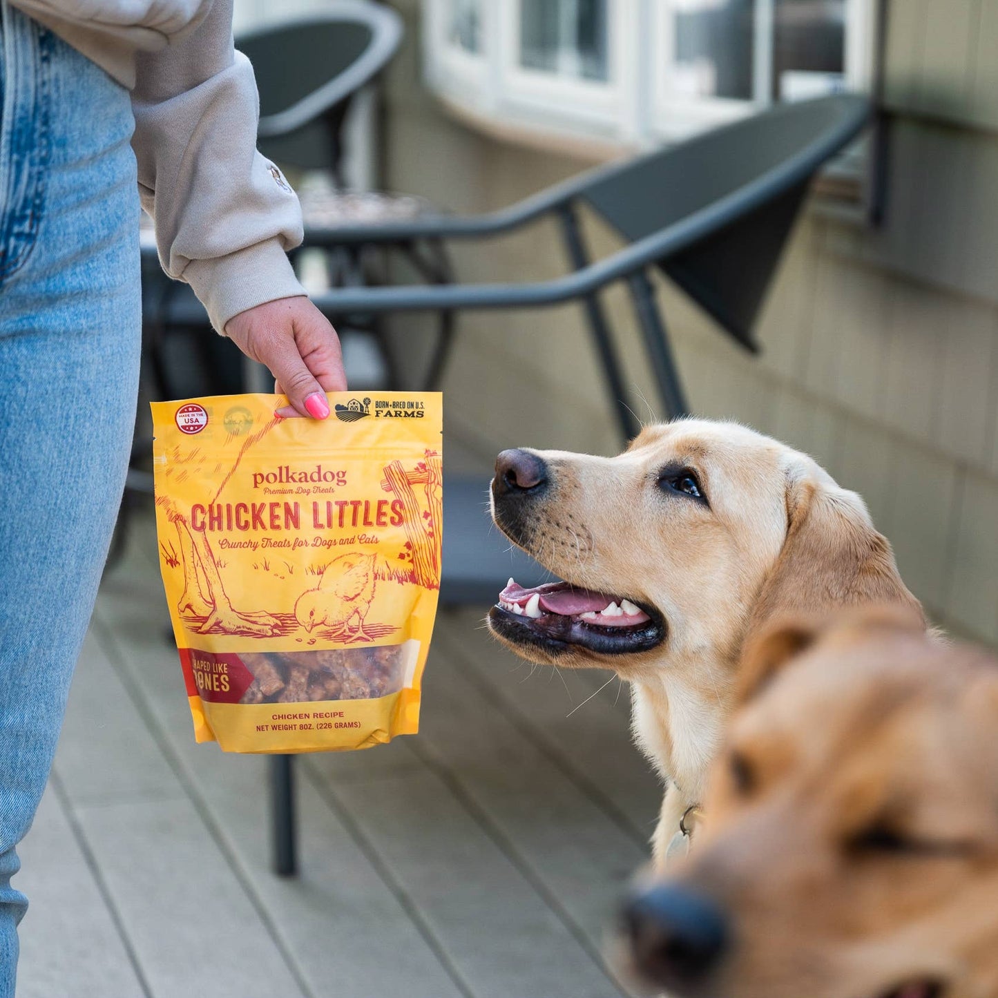 Chicken Littles (Bone Shaped) - 7oz - Dog Treats