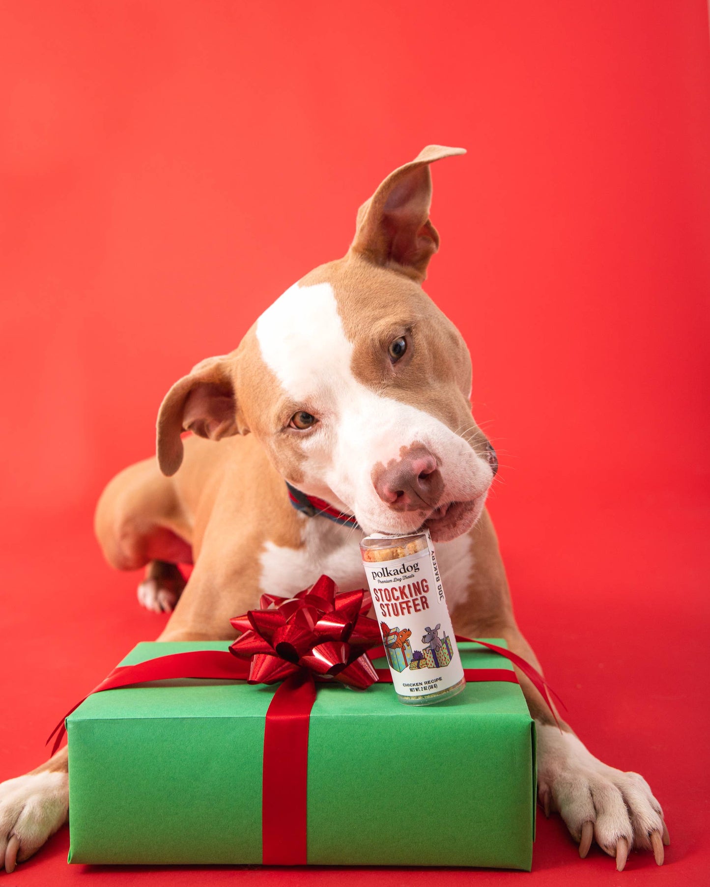 Stocking Stuffer (Chicken) Dog Treats