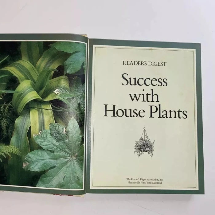 Success with House Plants