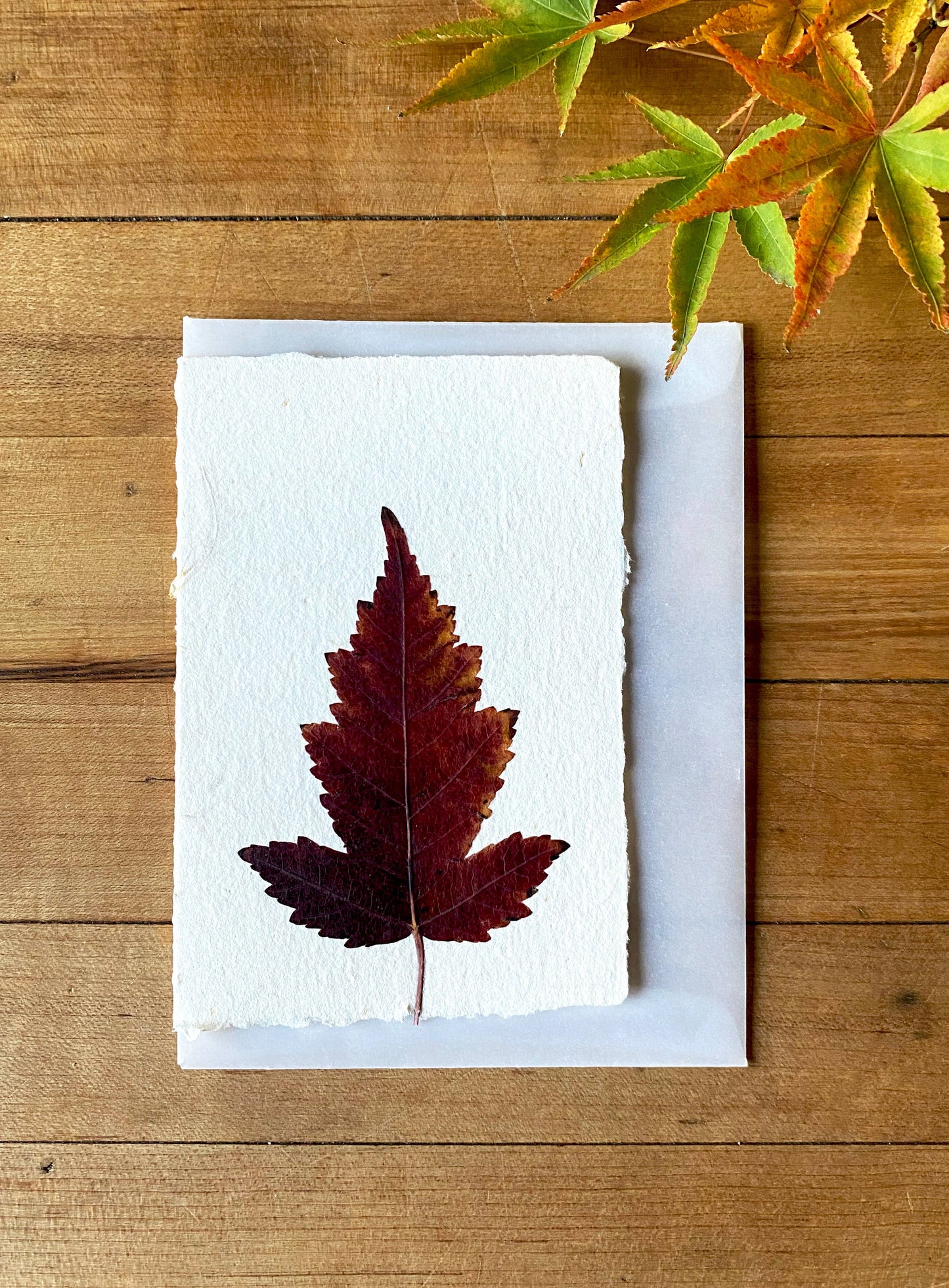 Maple  handmade greeting card