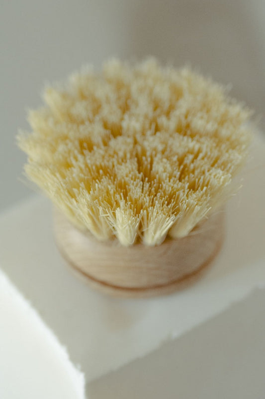 Replacement Heads (for long-handled brush)