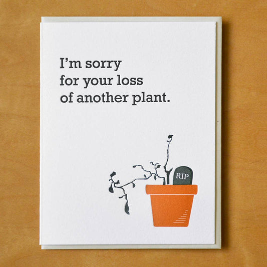 Loss Of Another Plant